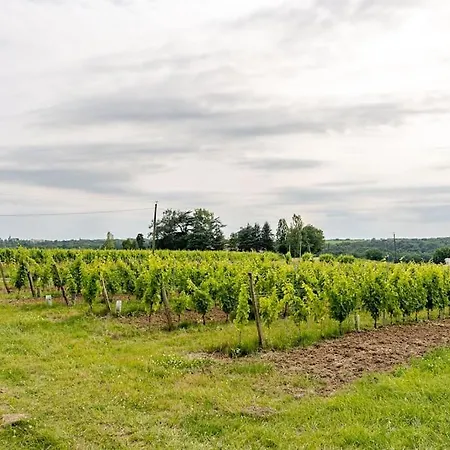 Maison De 3 Avec Piscine Mourens