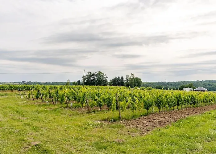 Maison De 3 Avec Piscine Mourens